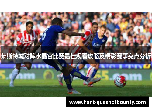 莱斯特城对阵水晶宫比赛最佳观看攻略及精彩赛事亮点分析 莱斯特城对阵水晶宫比赛最佳观看攻略及精彩赛事亮点分析