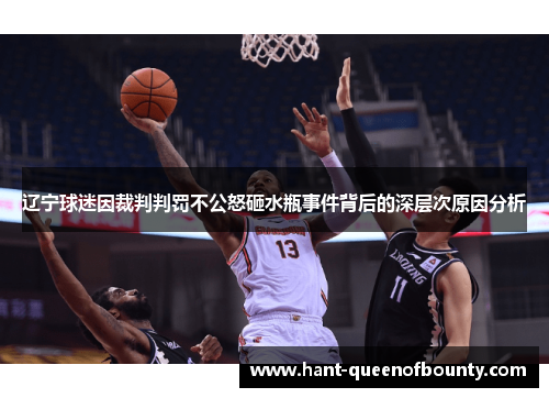 辽宁球迷因裁判判罚不公怒砸水瓶事件背后的深层次原因分析